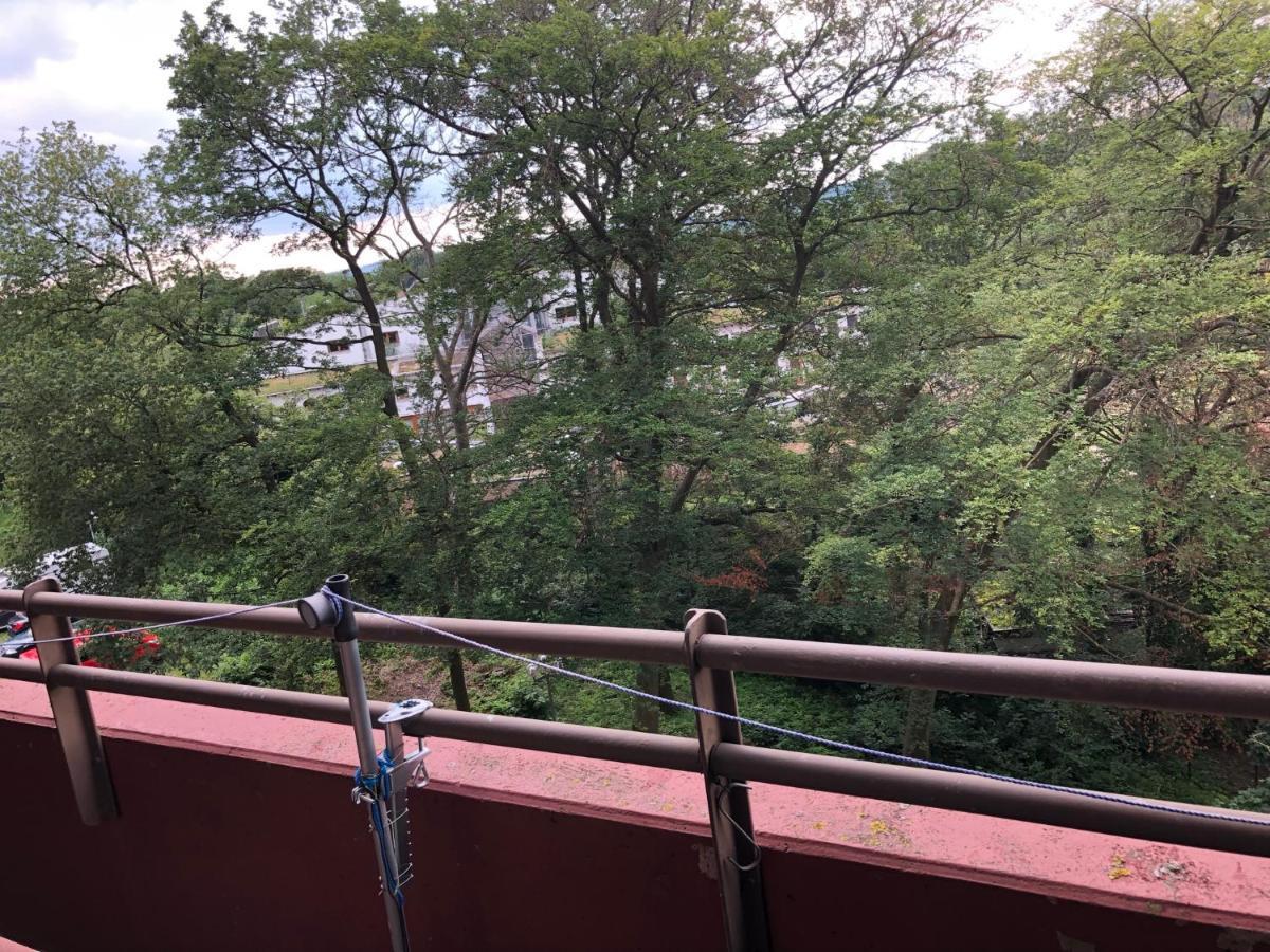 B506, Schoenes Und Gemuetliches Appartement Lahnstein Dış mekan fotoğraf